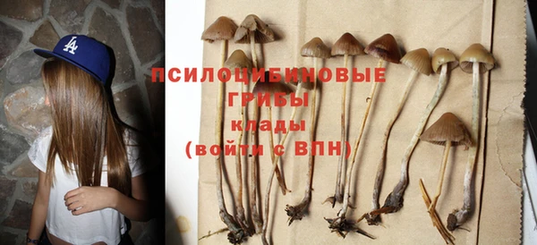 прущая мука Белоозёрский