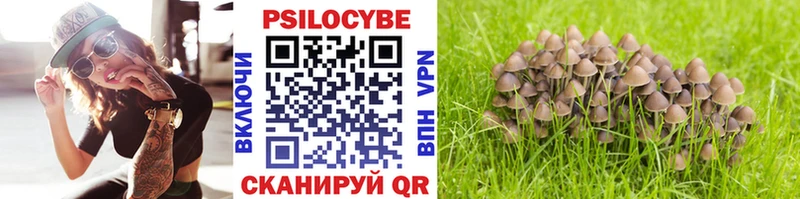 blacksprut как войти  Билибино  Галлюциногенные грибы ЛСД 